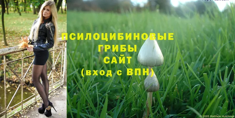 Галлюциногенные грибы Magic Shrooms  ОМГ ОМГ маркетплейс  Пласт 